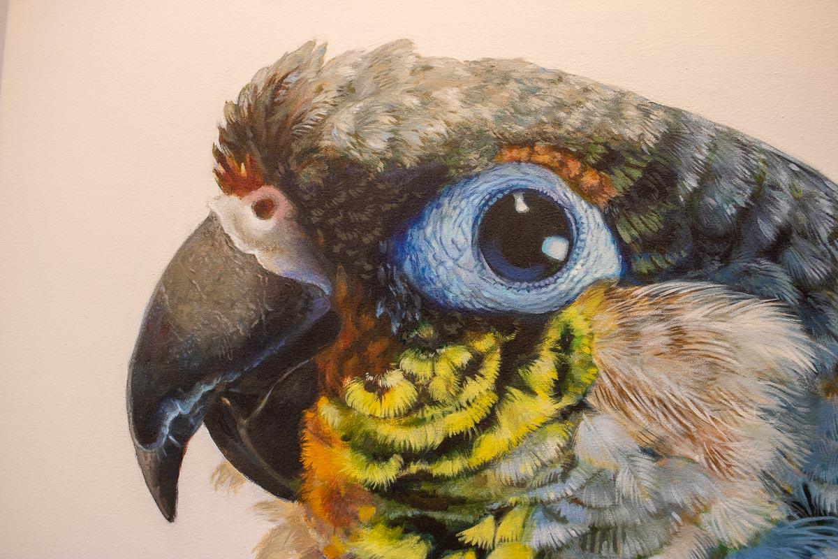 Tartaglia - Acrylic Painting, Bird, Wildlife, colourful, tropical, canvas 1