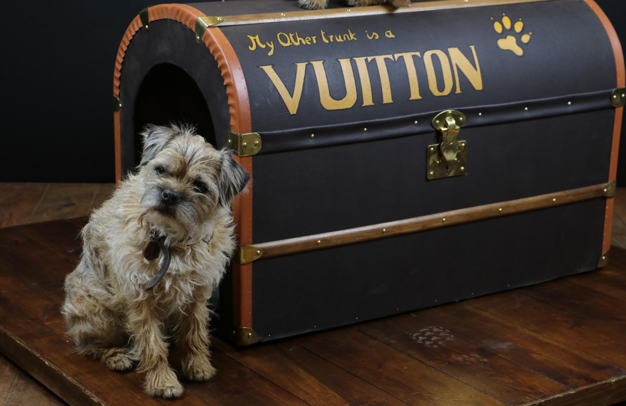 Brass Kennel Trunk, 2000s For Sale