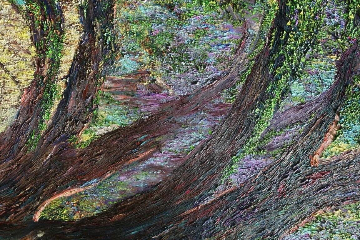 A Summer's Trail, Painting, Oil on Canvas For Sale 2