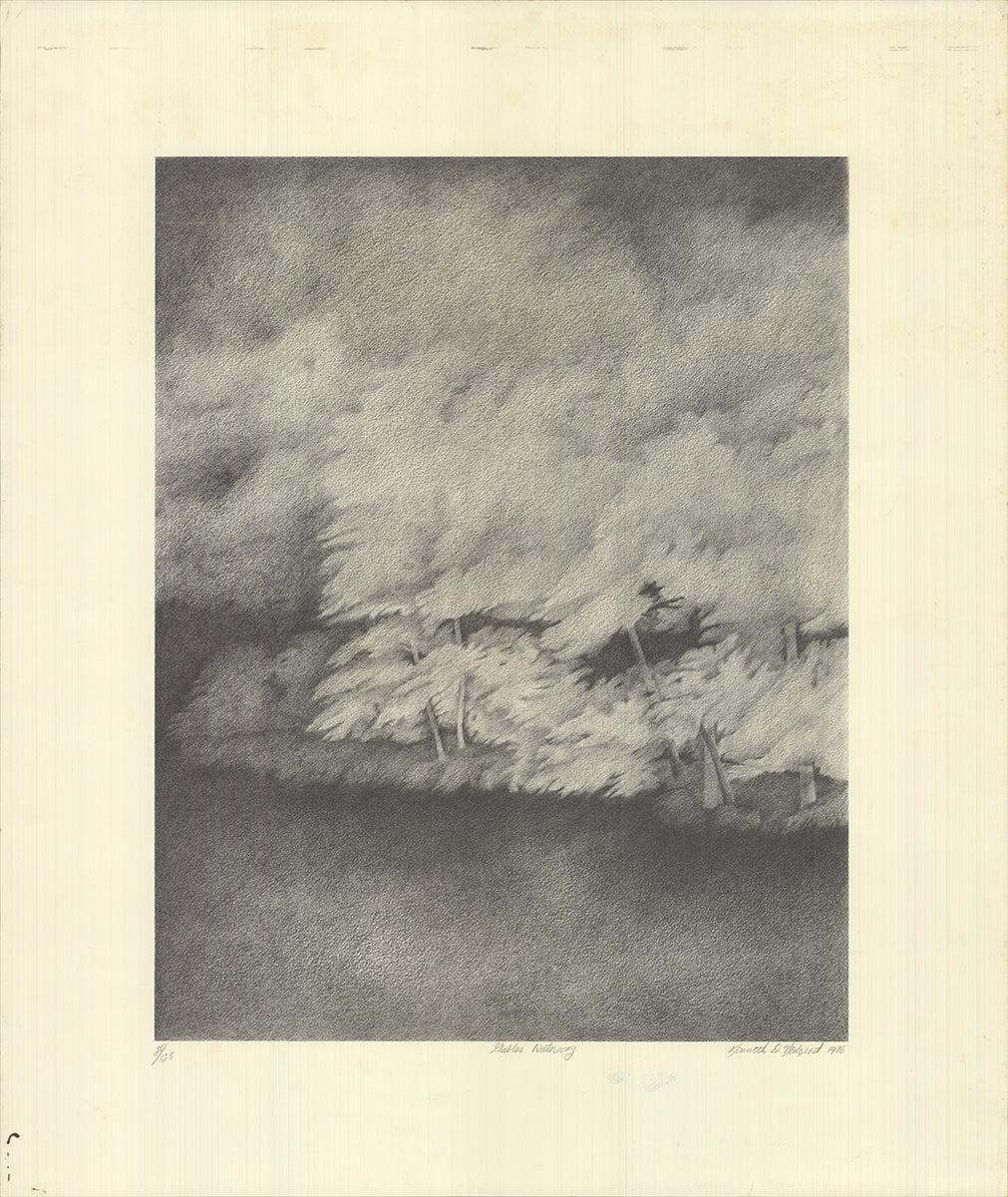 Landscape Print di Kenneth Nedorost - Gables Waterway
