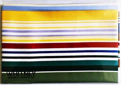 Untitled Whitney Museum Scarf Color Field Geometric Abstraction Limited Edition