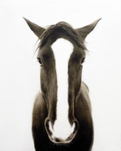 "Charmed" photorealistic oil painting of a horses head in black and white