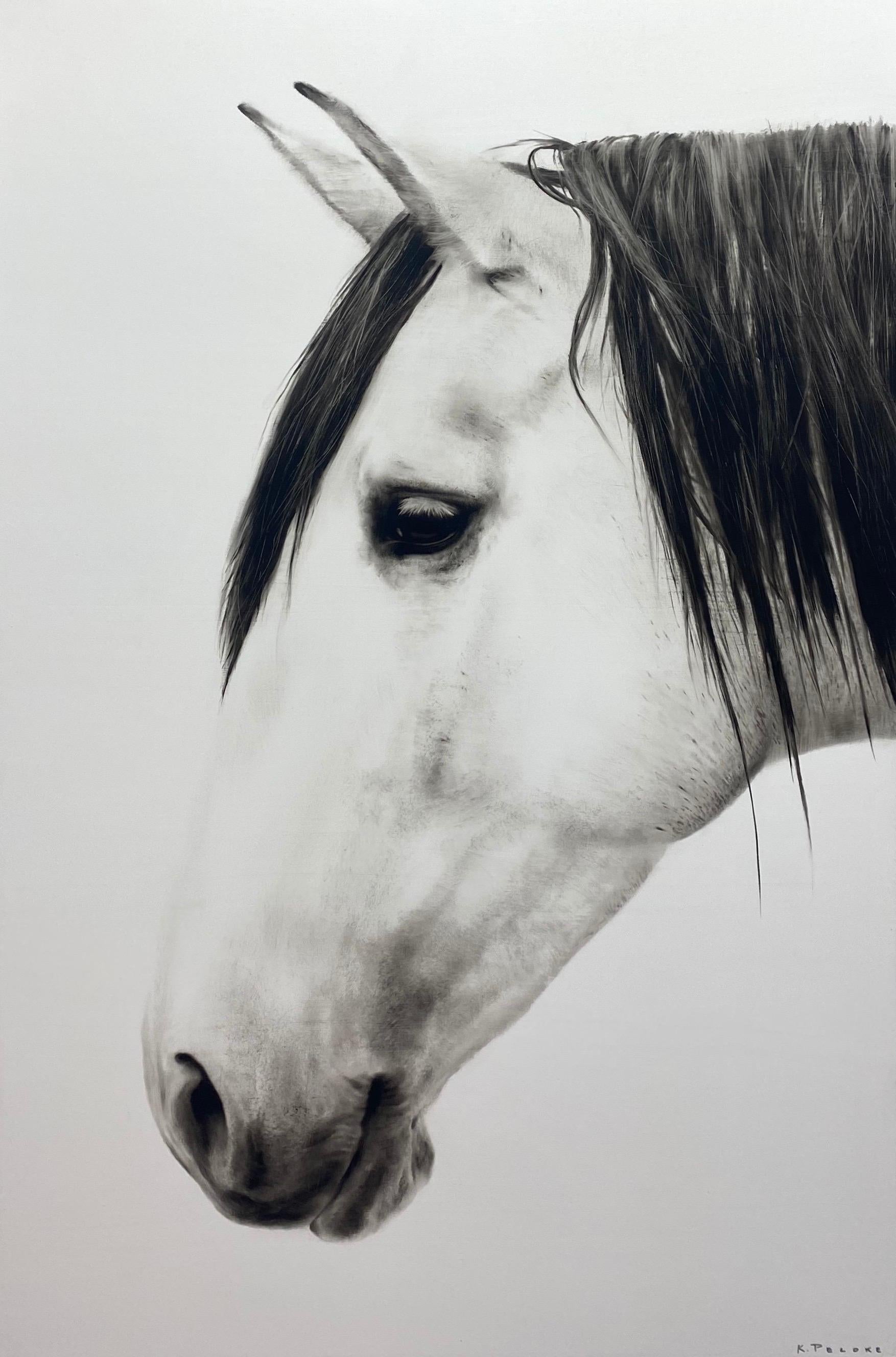KENNETH PELOKE Animal Painting - "Destiny" black and white oil painting of a white horse's profile