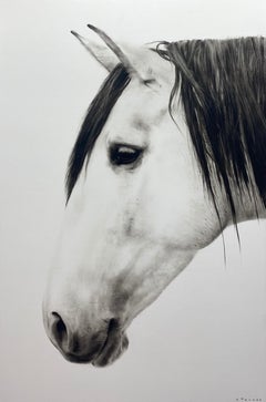 "Destiny" black and white oil painting of a white horse's profile