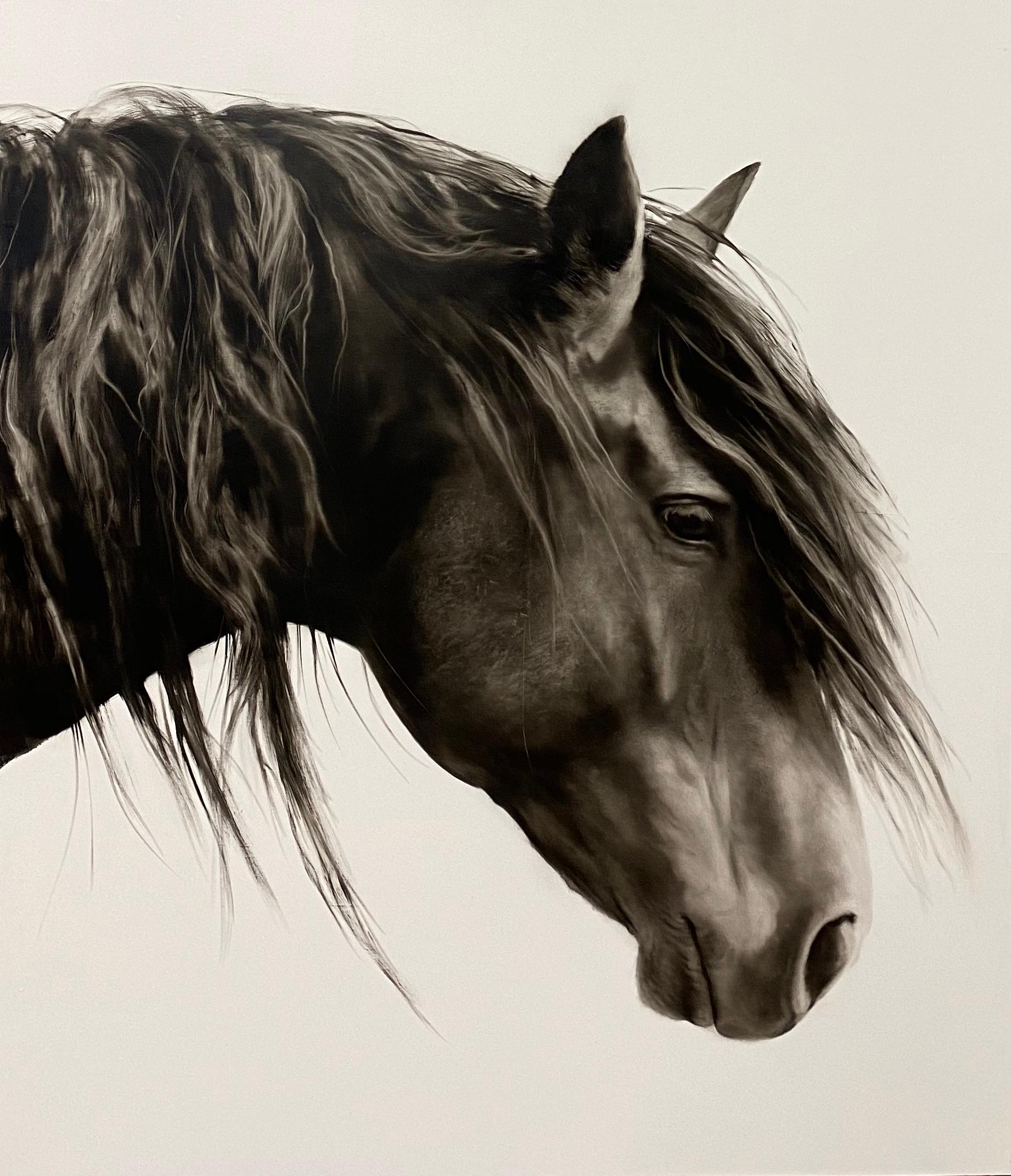 KENNETH PELOKE Animal Painting - "Drifter" photorealistic oil painting of a dark horse in profile with white