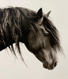 Peinture à l'huile photoréaliste "Drifter" représentant un cheval sombre de profil avec un blanc