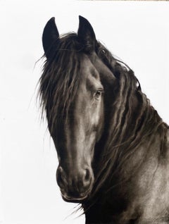 "Untitled" photorealist black and white oil painting portrait of a dark horse 