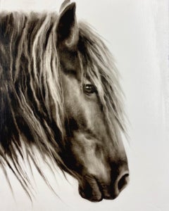 "Untitled" photorealistic black and white oil painting of a horse in profile