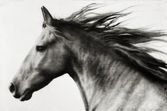 "untitled" photorealistic oil painting of a horse head in black and white