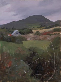 West Cork Landscape (Ahakista)