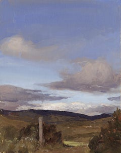 West Cork Landscape ( Kealkil)