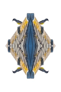 Stampe di animali di carta
