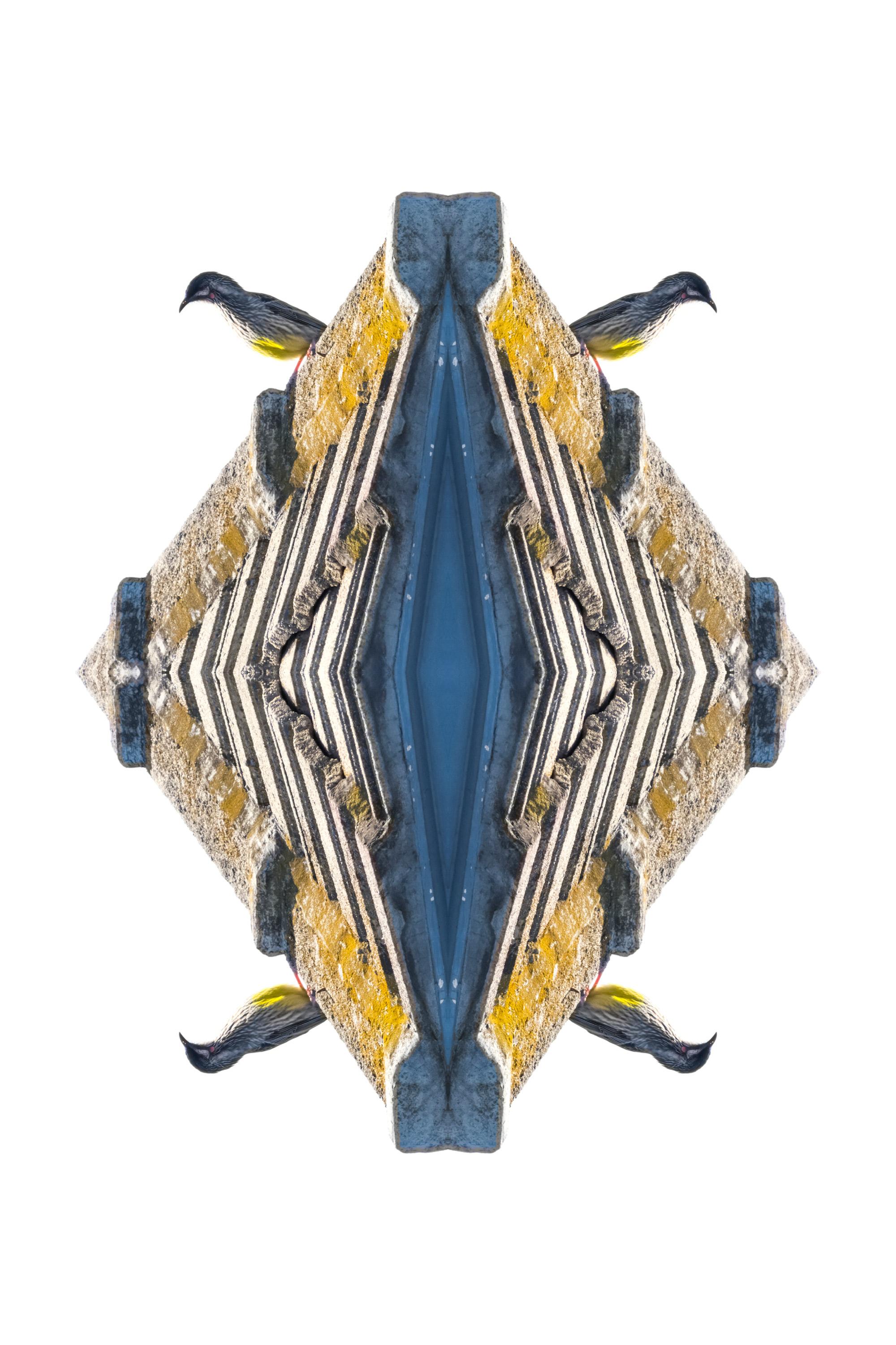 Uccello rosso
