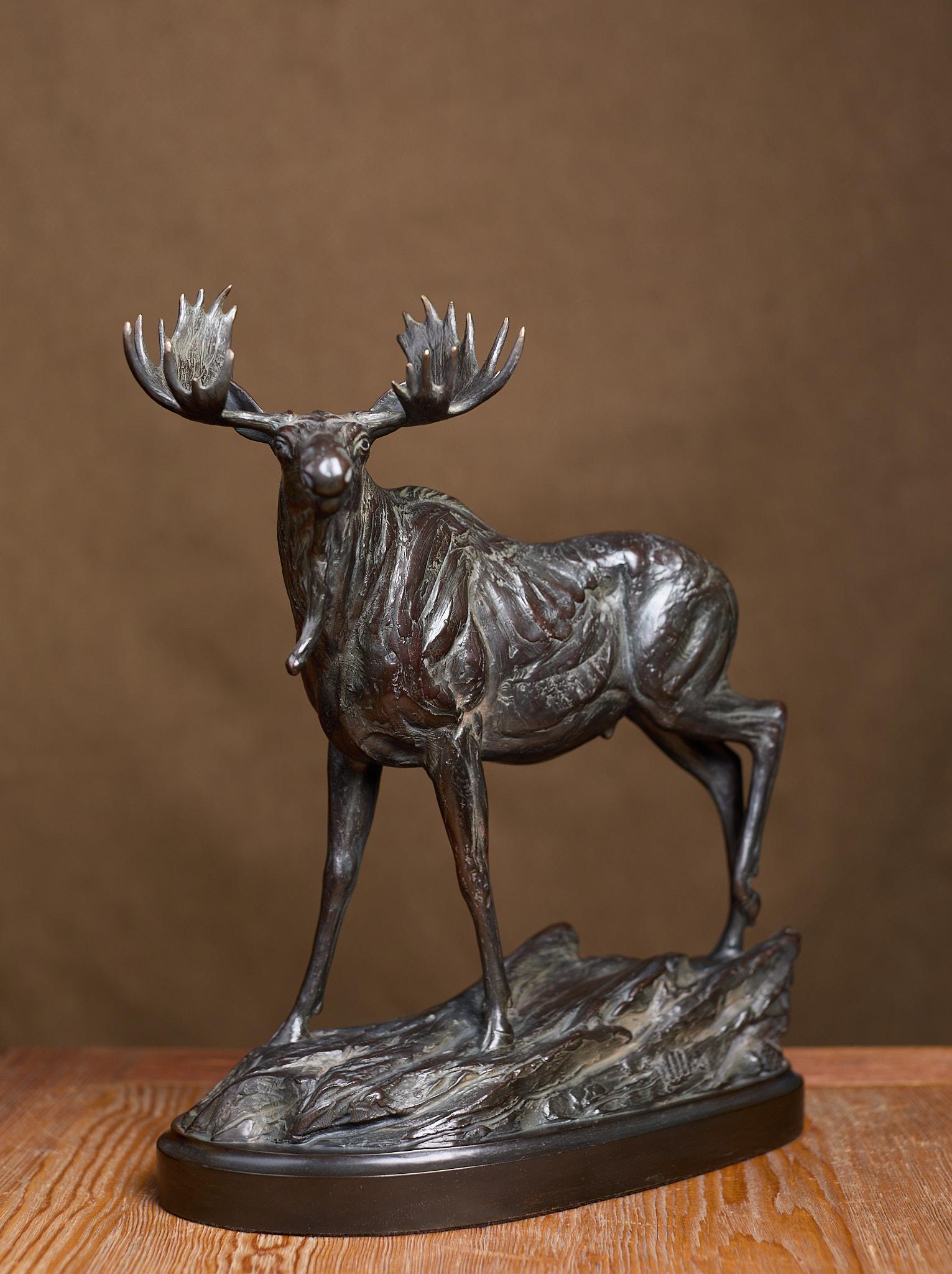 Bull Moose - Sculpture by Kent Ullberg