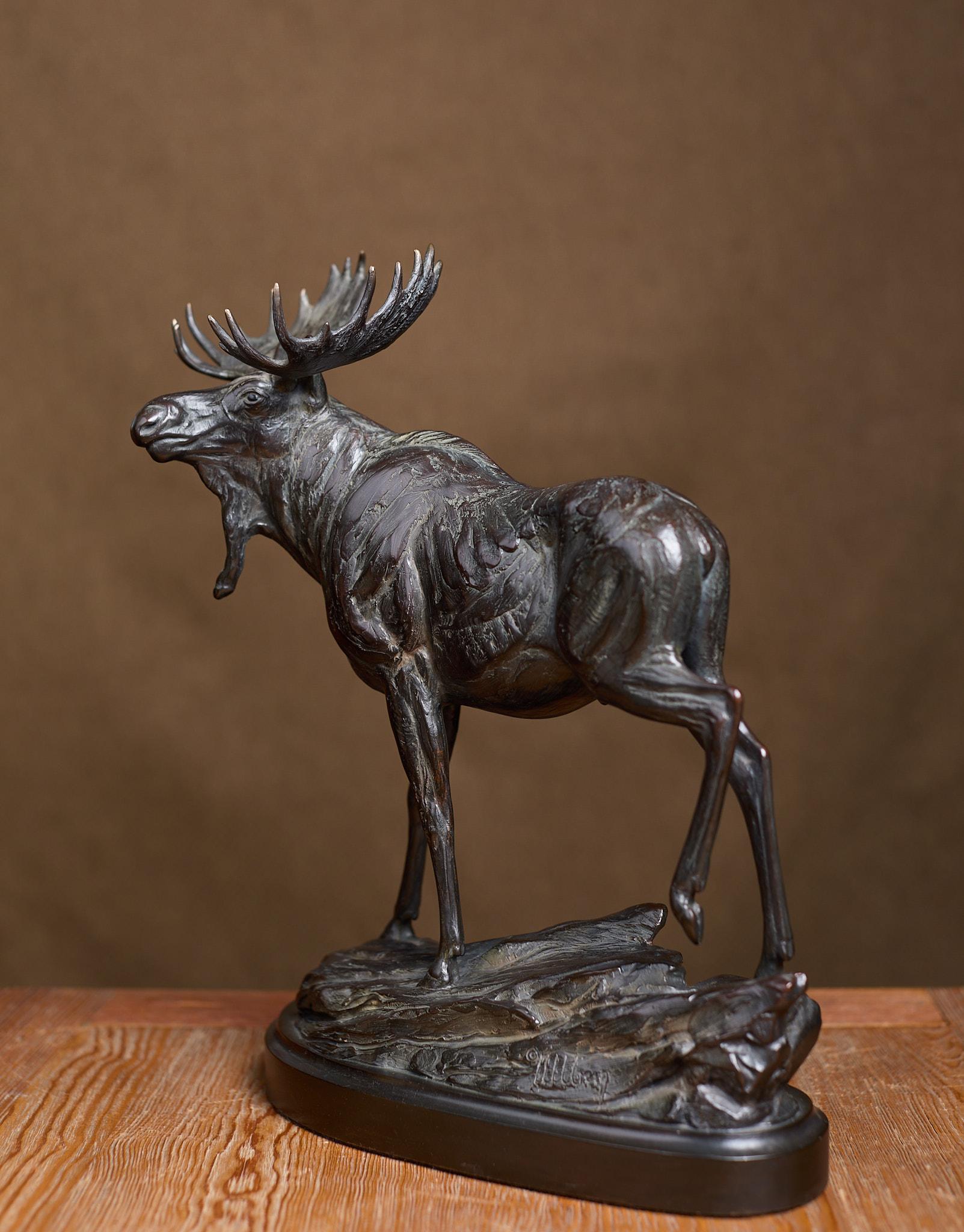 Bull Moose - Naturalistic Sculpture by Kent Ullberg