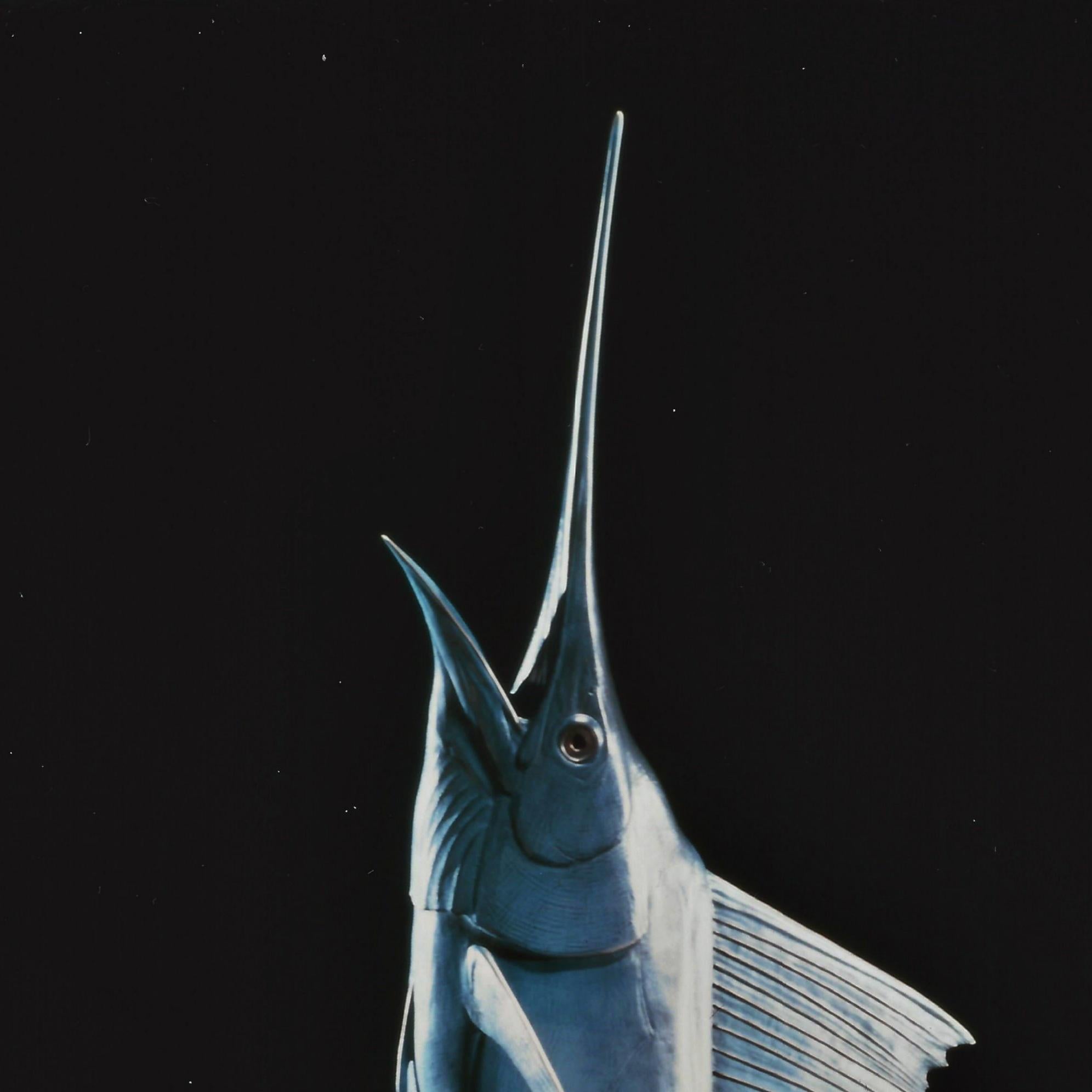 Free Jumping Sailfish, #8/20             - Sculpture by Kent Ullberg