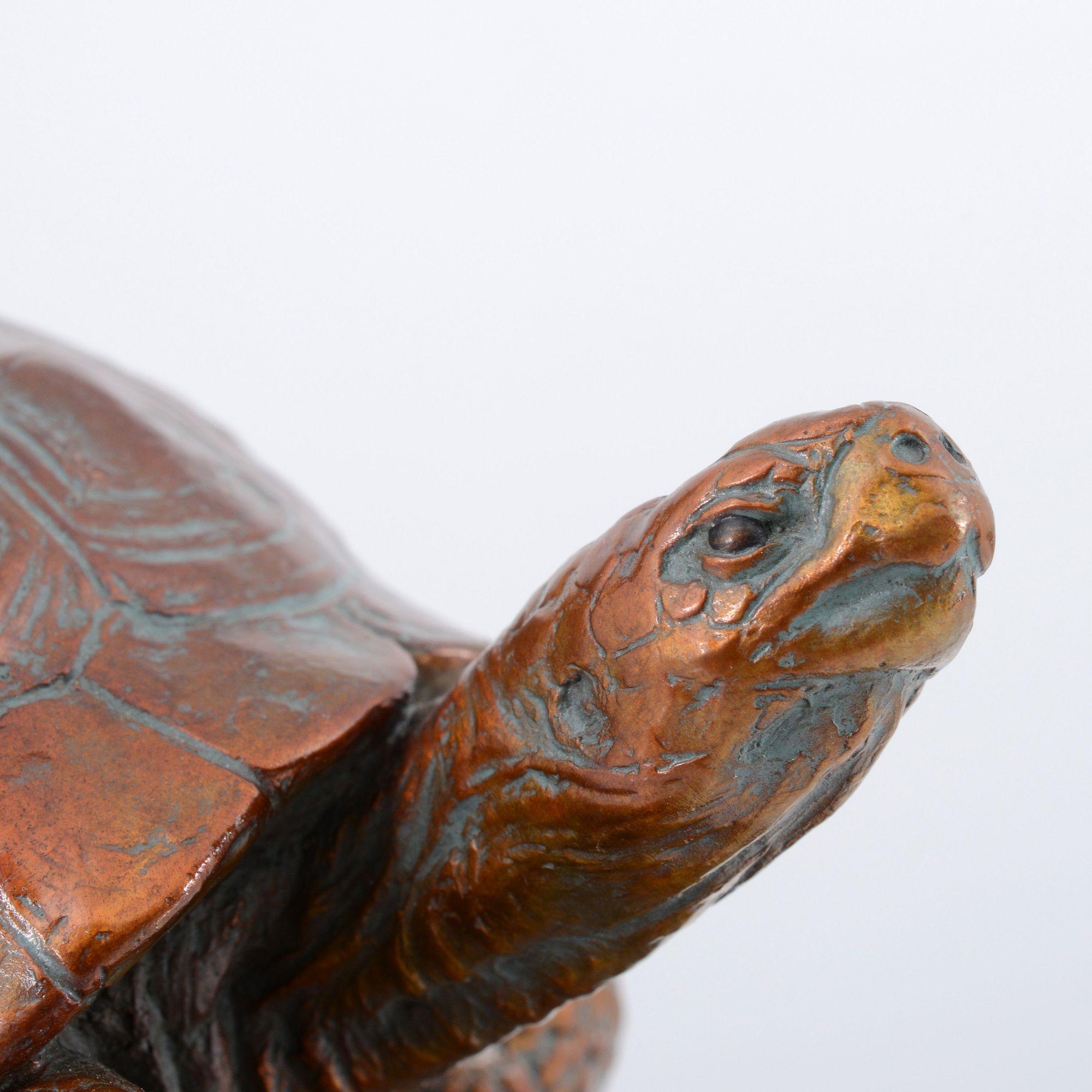 Kent Ullberg Bronze Sculpture, Tortoise & Hawk For Sale 4