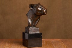 León de montaña