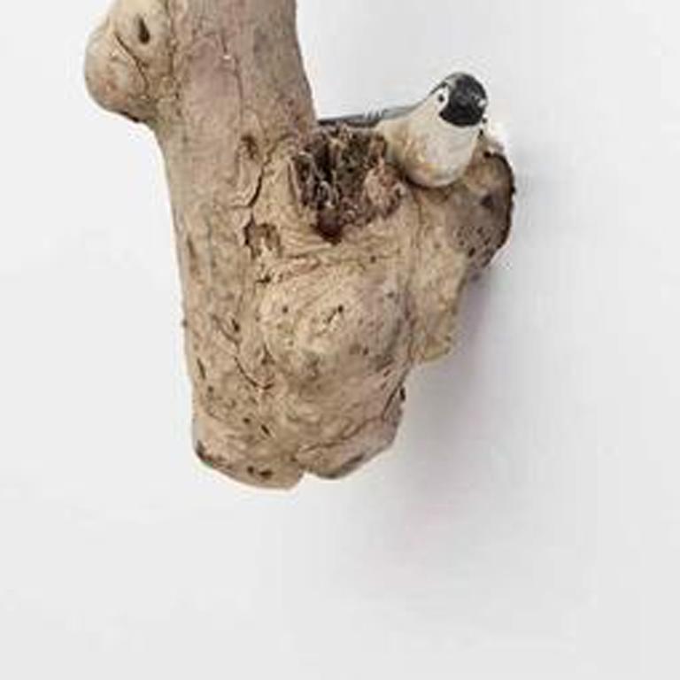 Piss Off, Kenton Parker, Wood, Mixed Media, Sculpture, Tree Branch For Sale 2