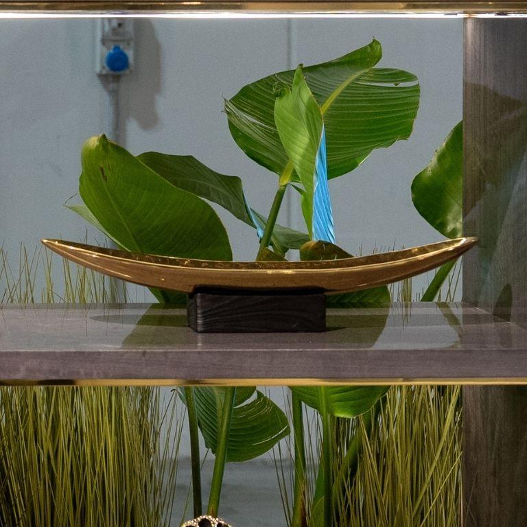 Kenu - Tablett aus poliertem Messing mit skulpturalem, gewelltem Design im Zustand „Neu“ im Angebot in Porto, PT