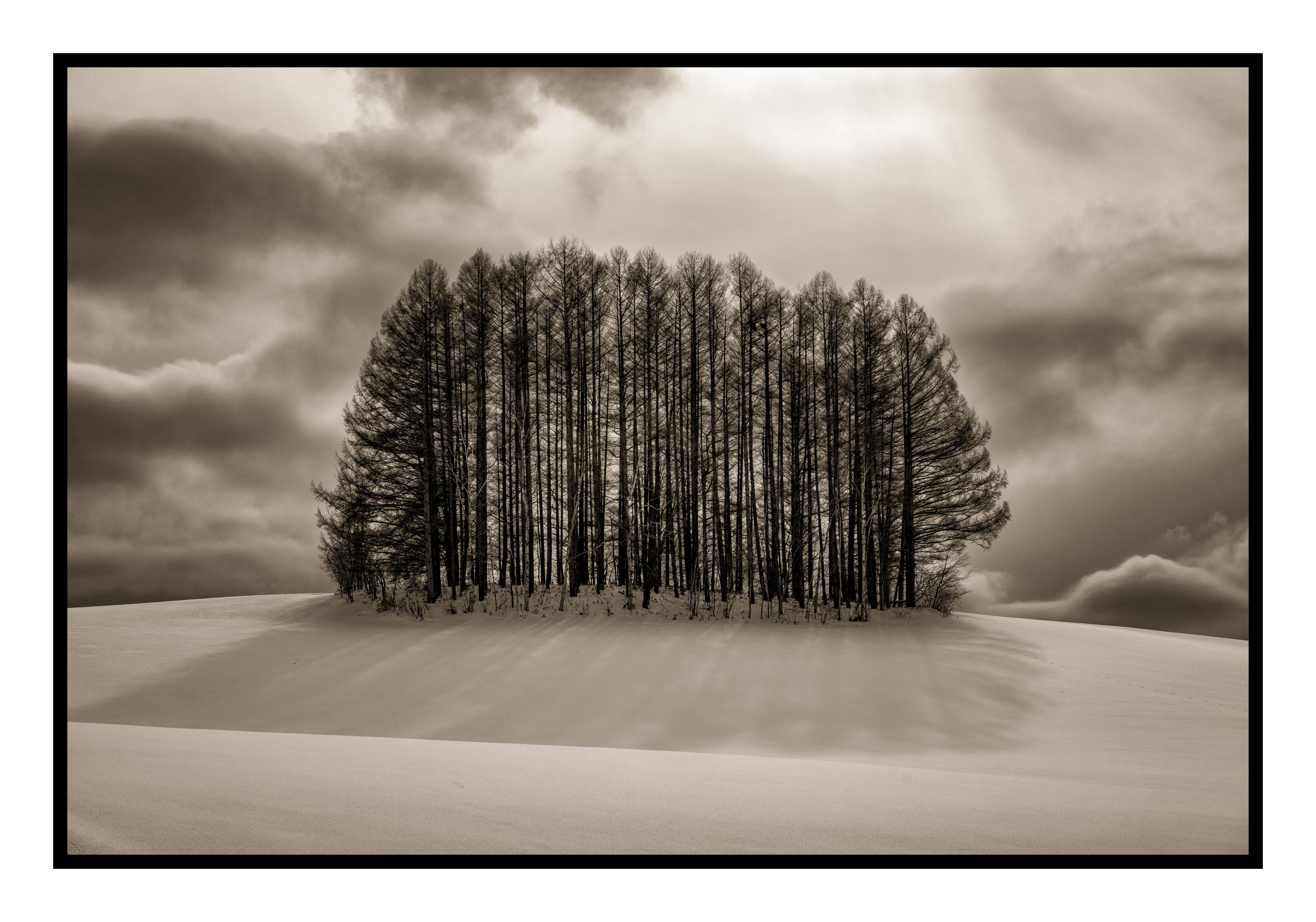Black and White Photograph de Kerik Kouklis - Paso Retroiluminado, Hokkaido Japón