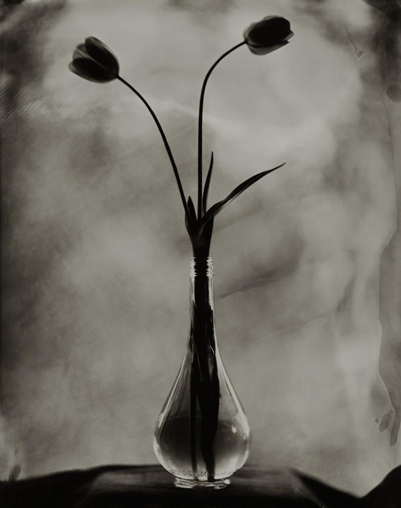 Bottiglia blu e due tulipani (Tintype)