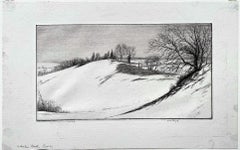 Il dorso della balena [Connecticut]