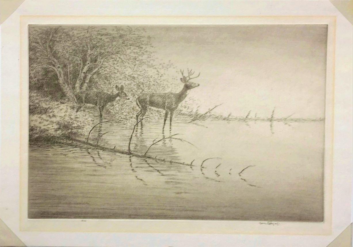 White Tails in the Morning - Print by Kerr Eby