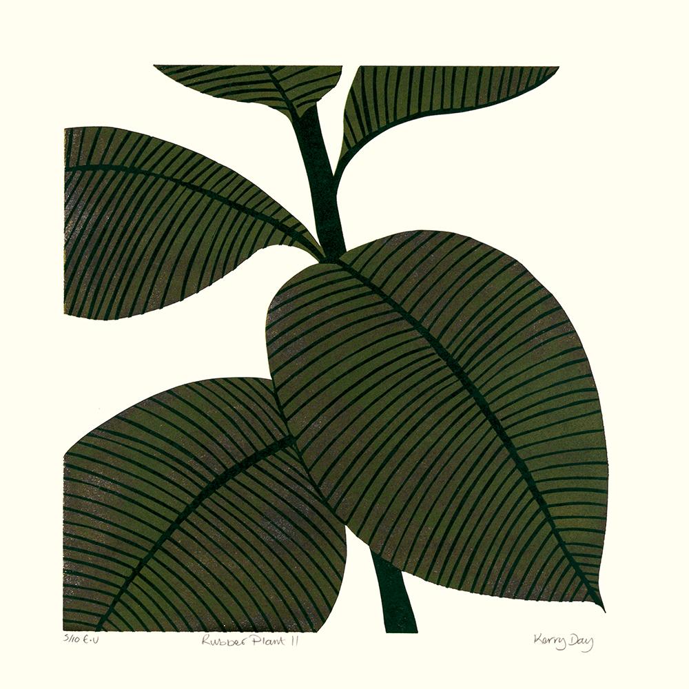 Rubber Plant II and Rubber Plant III diptych
Overall sheet size: H86 x W84


Rubber Plant II by Kerry Day [2017]
limited_edition
Linocut Print
Edition number 10
Image size: H:30.5 cm x W:30.4 cm
Complete Size of Unframed Work: H:43 cm x W:42 cm x