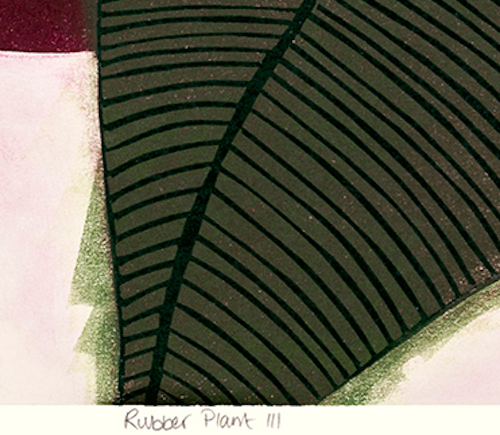 Gummi-Pflanzgefäßdruck III, Hauspflanzgefäßdruck, erschwingliche Kunst, limitierte Auflage (Pop-Art), Print, von Kerry Day