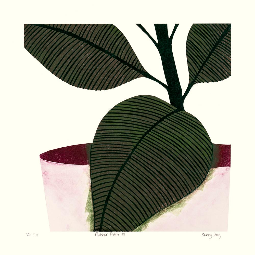 Kerry Day Interior Print - Rubber Plant III, house plant print, affordable art, limited edition art