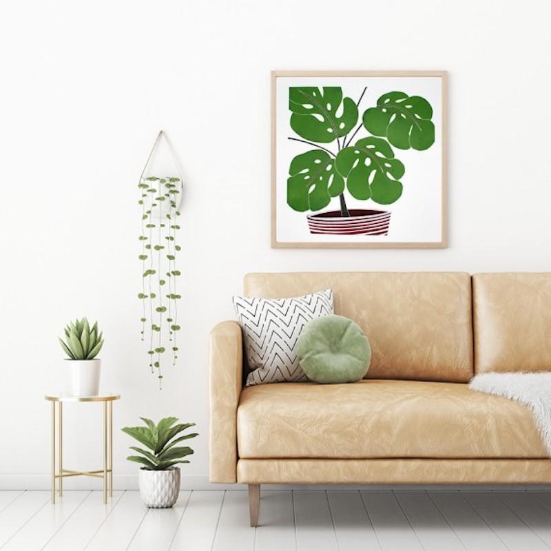 Swiss Cheese Plant III, limited edition print, plant print, affordable art - Print by Kerry Day