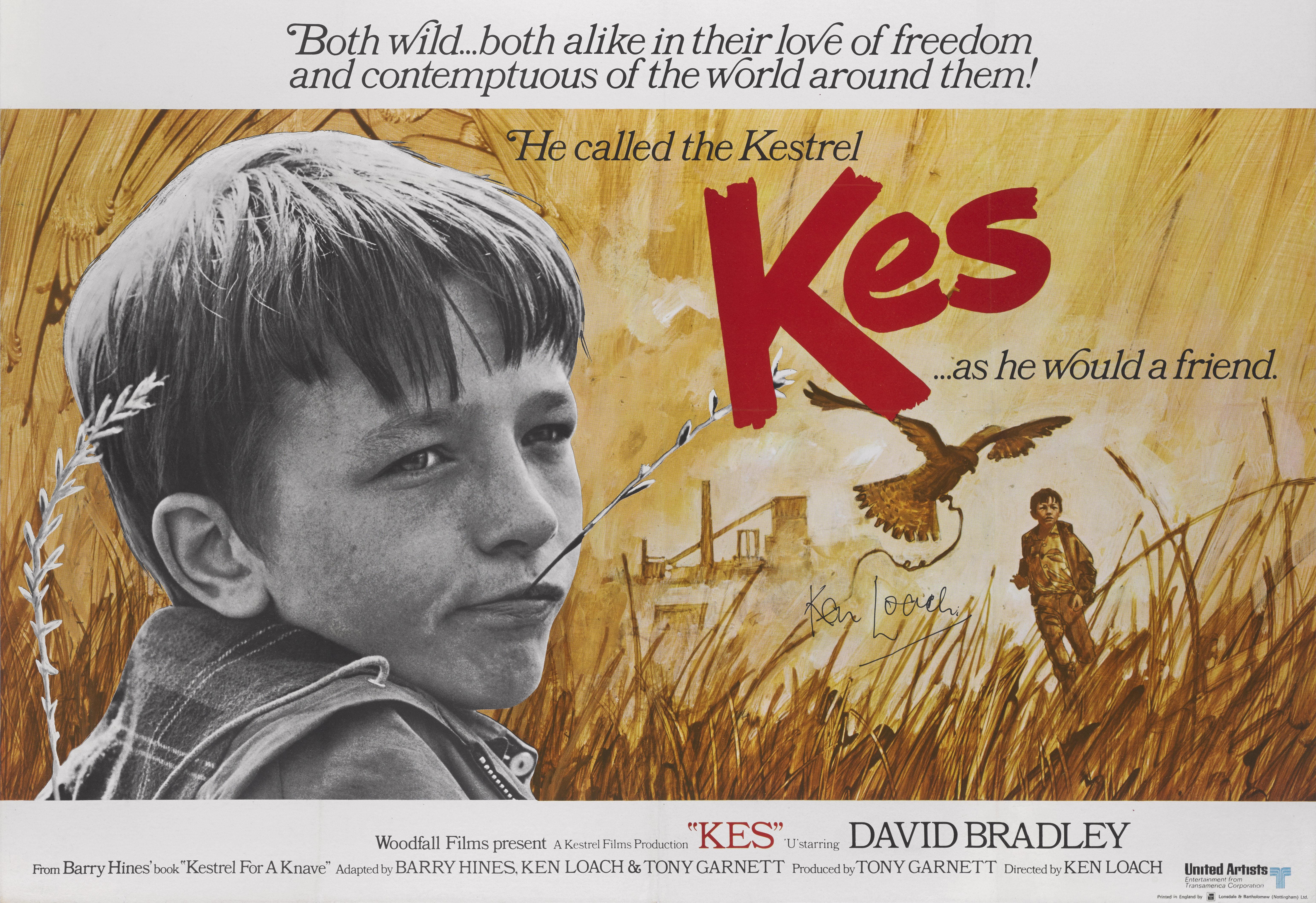 kes eyeview