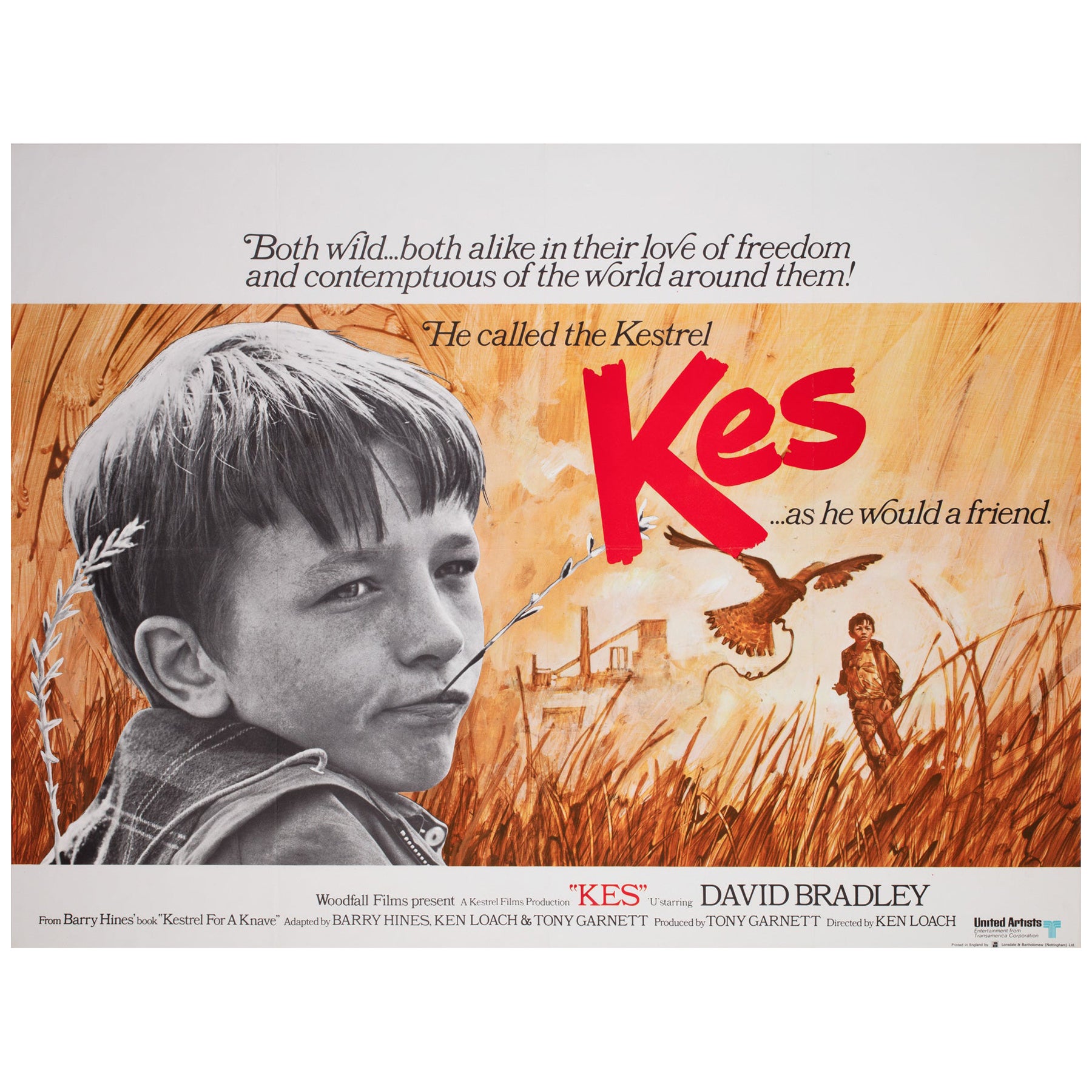 Affiche originale du film Quad du Royaume-Uni Kes, 1969