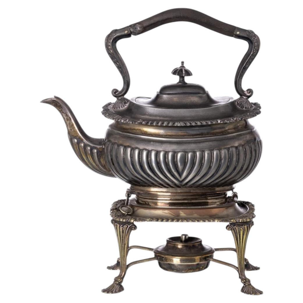 Kettle in a shell For Sale