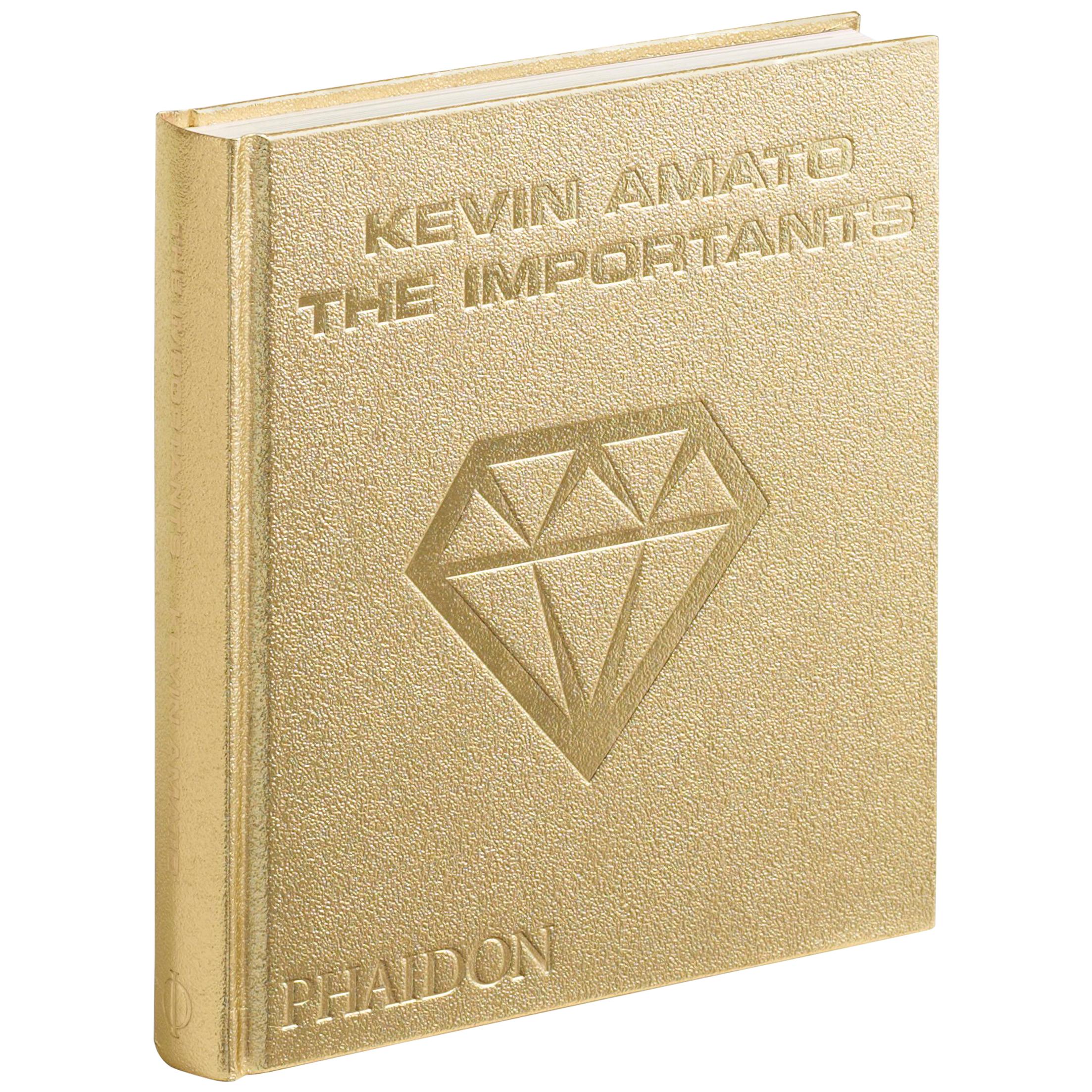 Kevin Amato The Importants Book