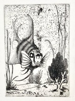 Kevin B. O'Callahan, Butler Fish (also known as Frog Fish)