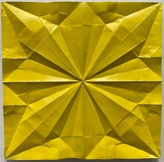 Consider the Lily - unfolded 9/50