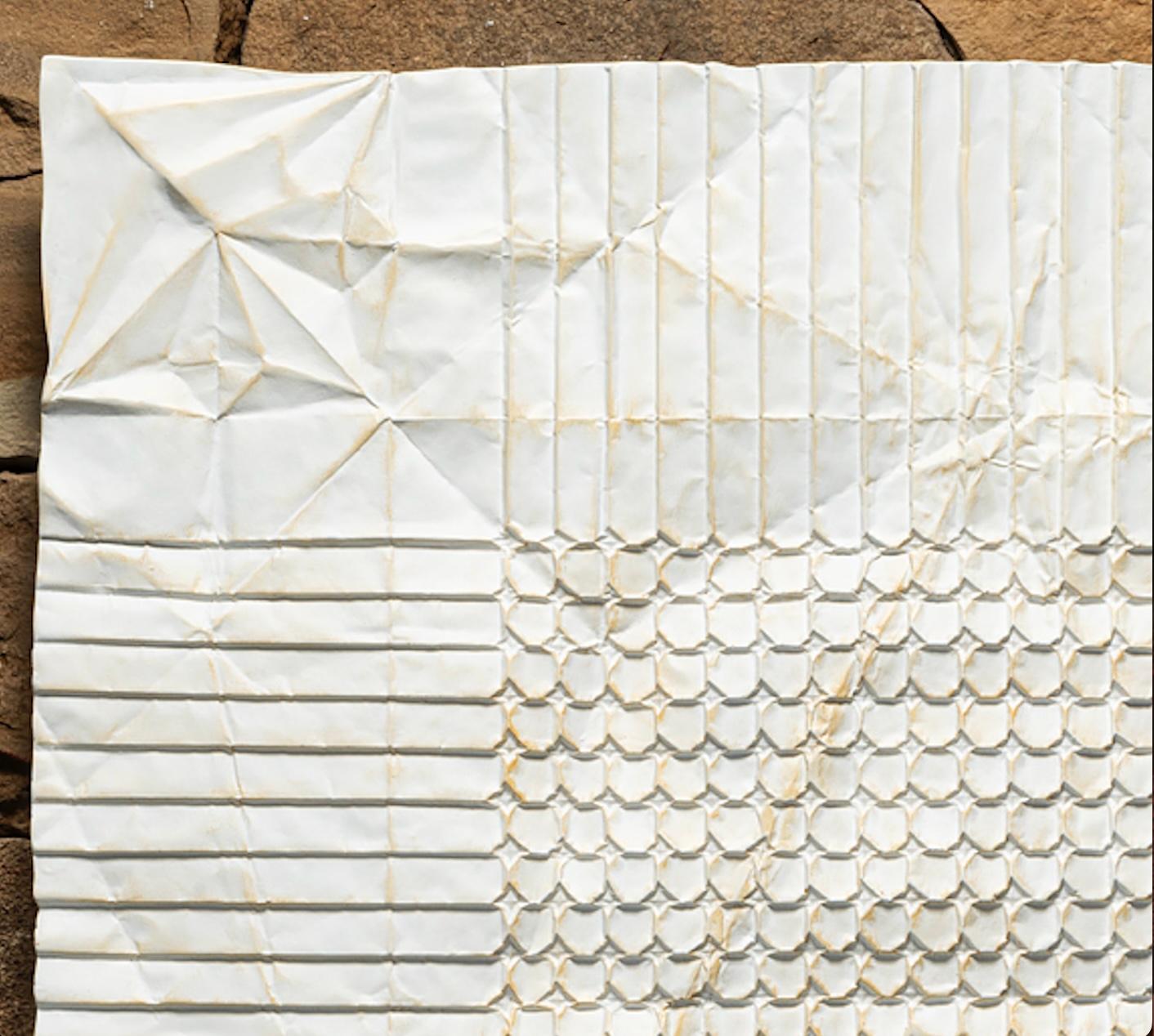 Fish of 10000 Folds, Unfolded, Opus 425 2/24 - Kevin Box and Robert J. Lang For Sale 1
