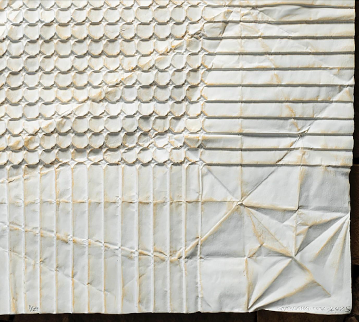 Fish of 10000 Folds, Unfolded, Opus 425 2/24 - Kevin Box and Robert J. Lang For Sale 3