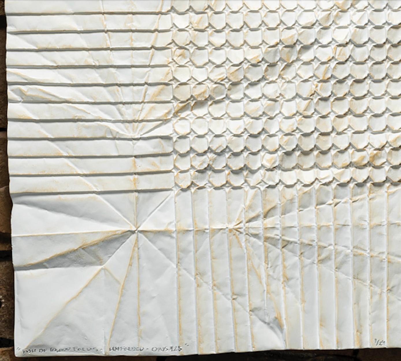 Fish of 10000 Folds, Unfolded, Opus 425 2/24 - Kevin Box and Robert J. Lang For Sale 4