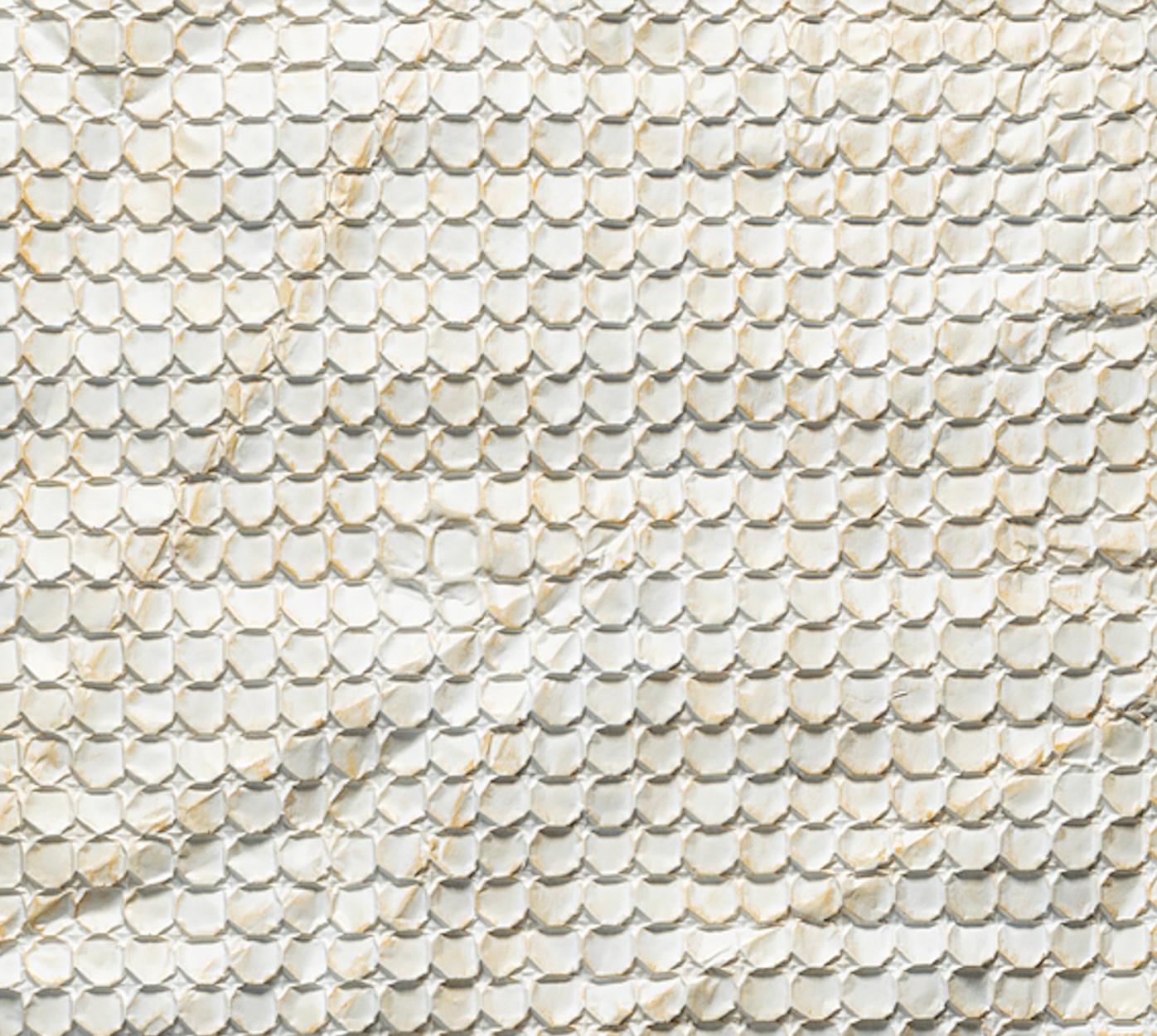 Fish of 10000 Folds, Unfolded, Opus 425 2/24 - Kevin Box and Robert J. Lang For Sale 5