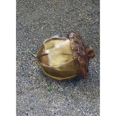 Seed - Large 5/24 - Kevin Box and Beth Johnson