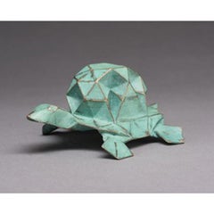 Star Tortoise 3D AP