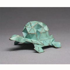 Star Tortoise 3D