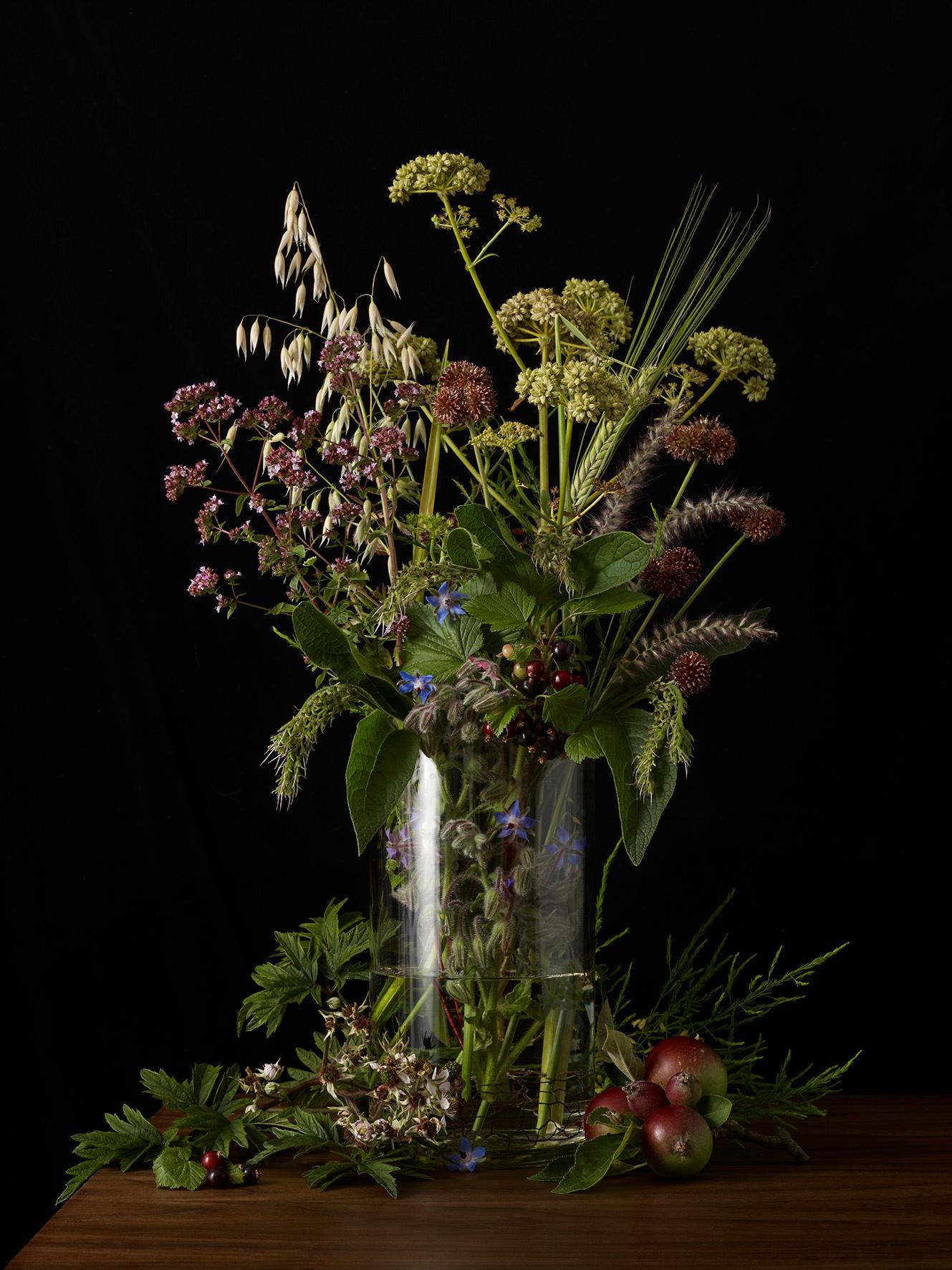 Kevin Dutton Still-Life Photograph - Allotment Plants 2