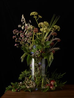 Allotment Plants 2