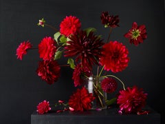 Dahlias #1,  Botanical photographic print, Old Masters Style, 21st century