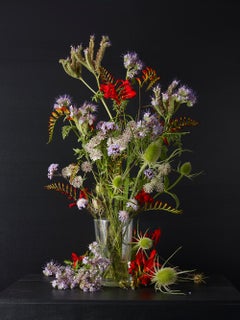 Mixed Summer Plants #3,  Botanical photographic print,  Old Masters Style