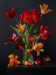 Mixed Tulips #6,  Botanical photographic print,  Old Masters Style